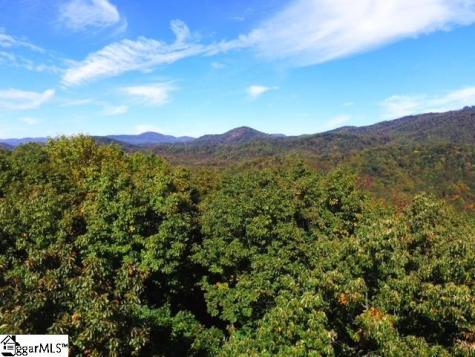 0 Highway 11 Landrum SC 29356