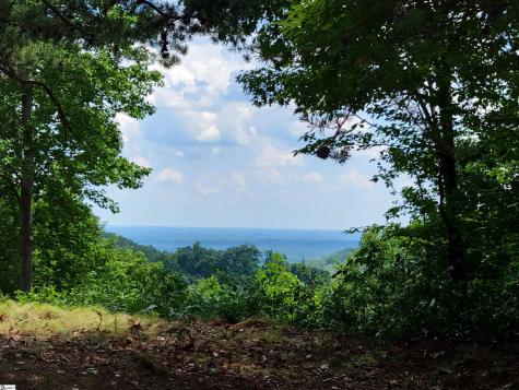 214 Craggy Rock Lane Landrum SC 29356