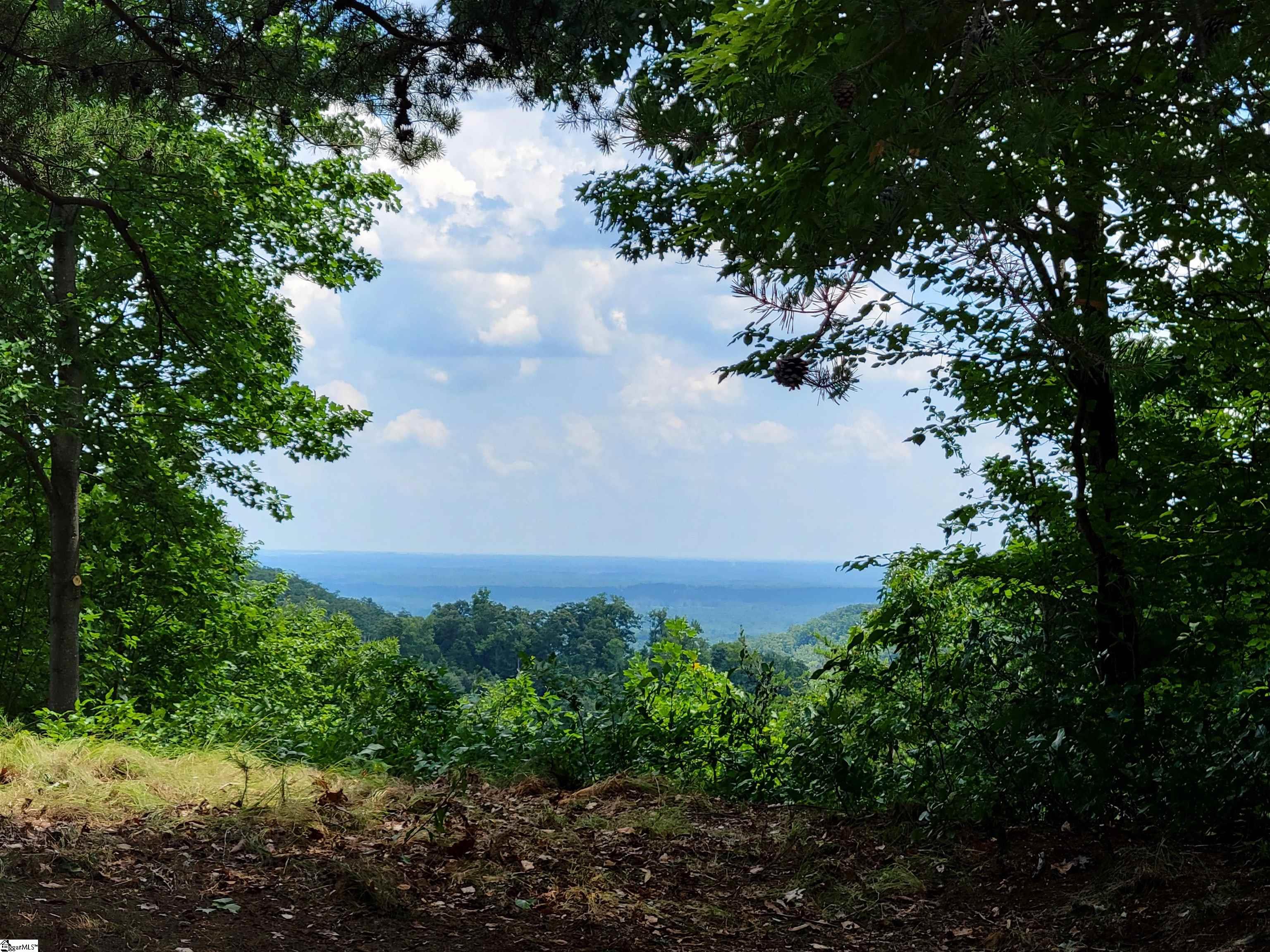 214 Craggy Rock Lane Landrum SC 29356