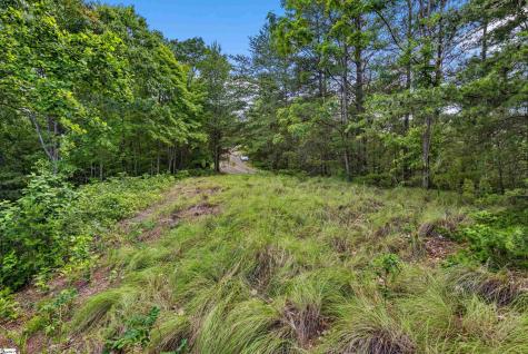 214 Craggy Rock Lane Landrum SC 29356