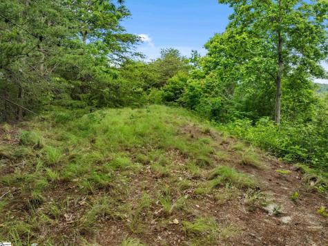 214 Craggy Rock Lane Landrum SC 29356
