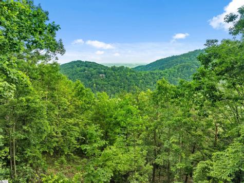 214 Craggy Rock Lane Landrum SC 29356