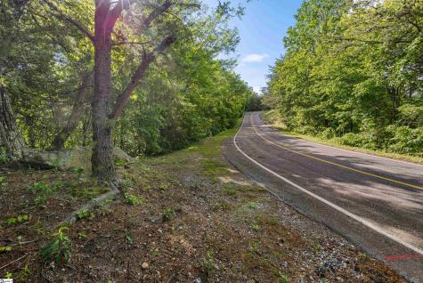 214 Craggy Rock Lane Landrum SC 29356