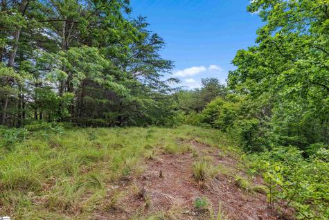 214 Craggy Rock Lane Landrum SC 29356