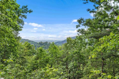 214 Craggy Rock Lane Landrum SC 29356