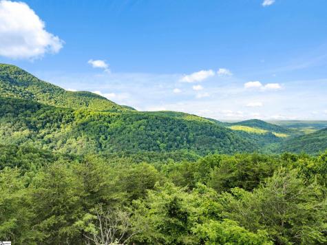 214 Craggy Rock Lane Landrum SC 29356