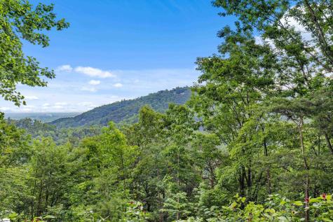 214 Craggy Rock Lane Landrum SC 29356