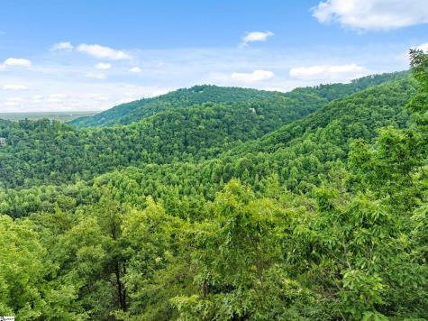 214 Craggy Rock Lane Landrum SC 29356