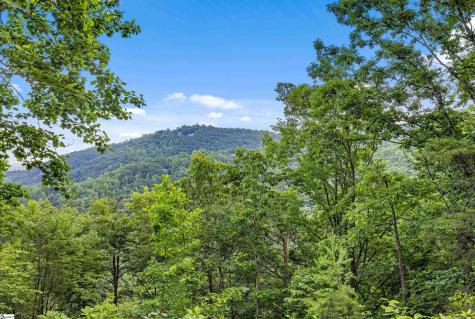 214 Craggy Rock Lane Landrum SC 29356