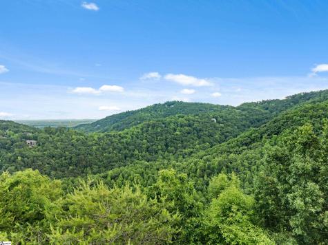 214 Craggy Rock Lane Landrum SC 29356