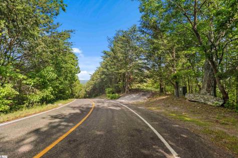 214 Craggy Rock Lane Landrum SC 29356