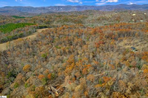 45 Danna View Court Marietta SC 29661