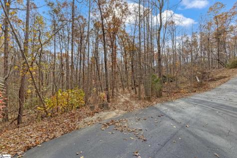 45 Danna View Court Marietta SC 29661