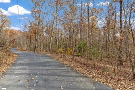 45 Danna View Court Marietta SC 29661