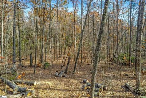 45 Danna View Court Marietta SC 29661