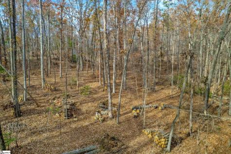 45 Danna View Court Marietta SC 29661