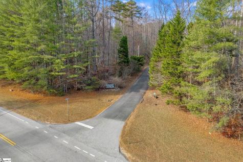 45 Danna View Court Marietta SC 29661