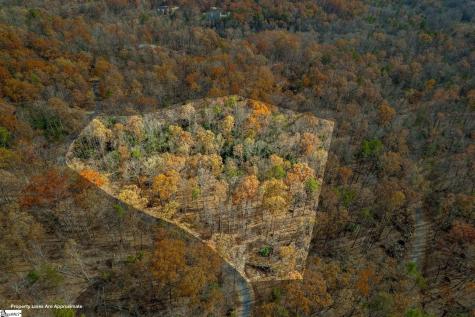 45 Danna View Court Marietta SC 29661