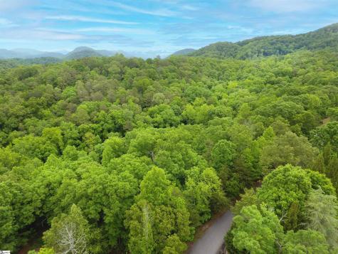 11 Terra Trace Way Travelers Rest SC 29690