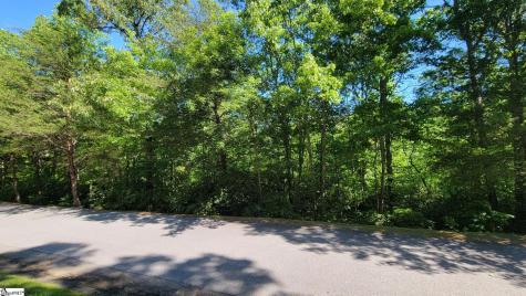11 Terra Trace Way Travelers Rest SC 29690