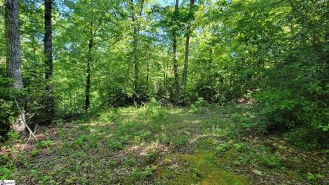11 Terra Trace Way Travelers Rest SC 29690