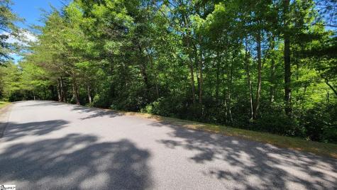 11 Terra Trace Way Travelers Rest SC 29690