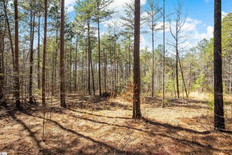 23B Big Jake Pass Travelers Rest SC 29690