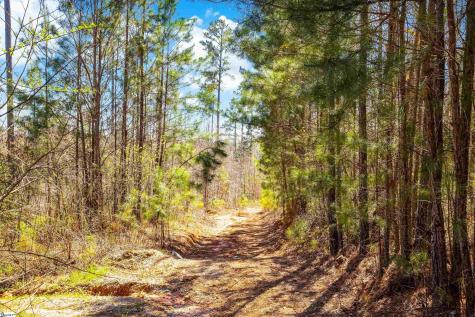 23B Big Jake Pass Travelers Rest SC 29690