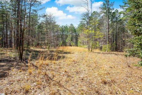 23B Big Jake Pass Travelers Rest SC 29690
