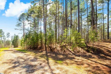 23B Big Jake Pass Travelers Rest SC 29690