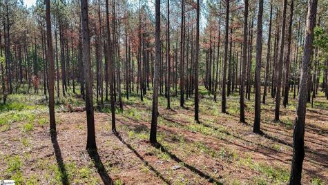 03 Lisbon Road Mountville SC 29370