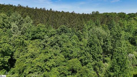 03 Lisbon Road Mountville SC 29370