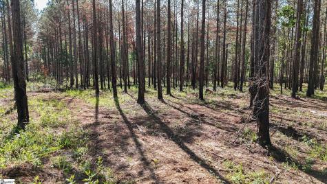 03 Lisbon Road Mountville SC 29370