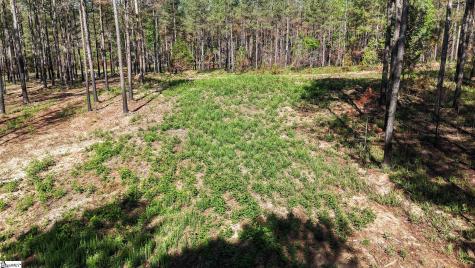 03 Lisbon Road Mountville SC 29370