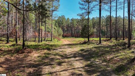 03 Lisbon Road Mountville SC 29370