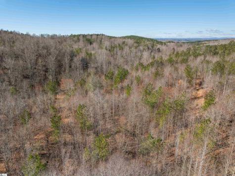 00 Crowe Creek Road Six Mile SC 29682