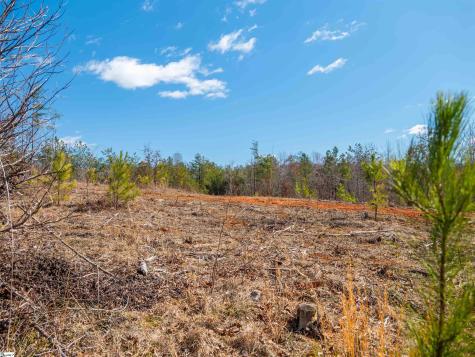 00 Crowe Creek Road Six Mile SC 29682
