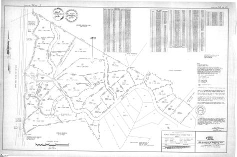 207 Sawyer Lane Pickens SC 29671