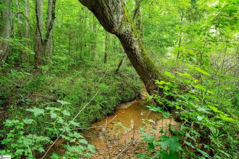 3371 Moorefield Memorial Highway Pickens SC 29671