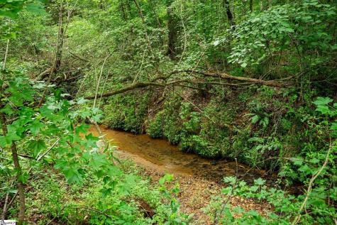 3371 Moorefield Memorial Highway Pickens SC 29671