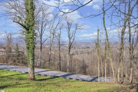 102 Greenedge Lane Greenville SC 29609