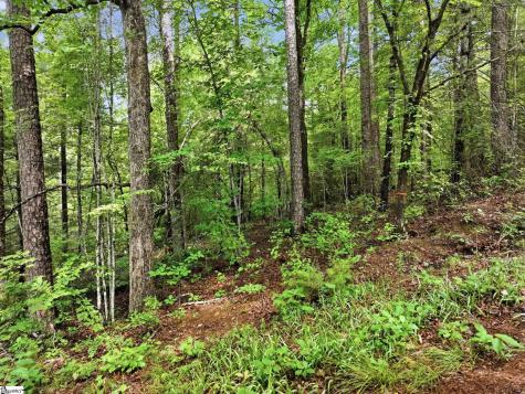 231 Cherokee Hills Drive Pickens SC 29671
