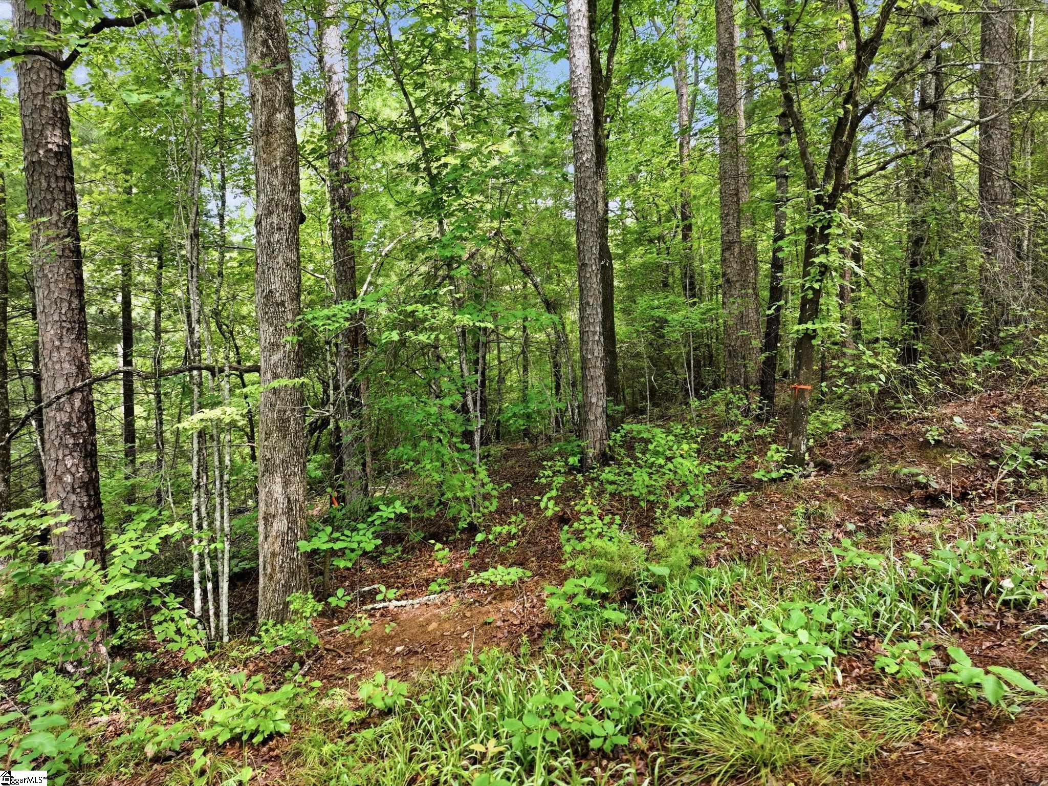 231 Cherokee Hills Drive Pickens SC 29671