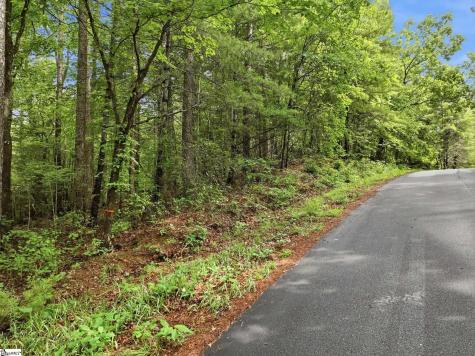 231 Cherokee Hills Drive Pickens SC 29671