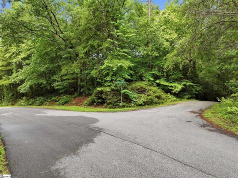 231 Cherokee Hills Drive Pickens SC 29671