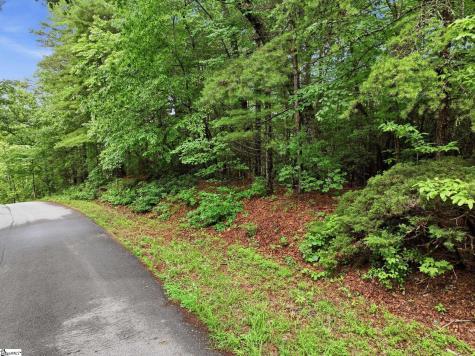 231 Cherokee Hills Drive Pickens SC 29671