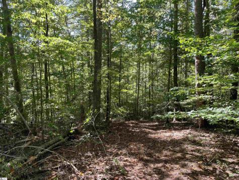 228 Tater Hill Mountain Road Pickens SC 29671