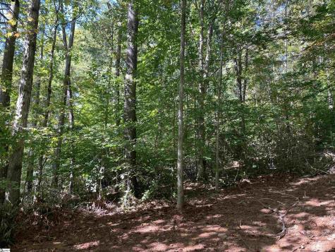 228 Tater Hill Mountain Road Pickens SC 29671