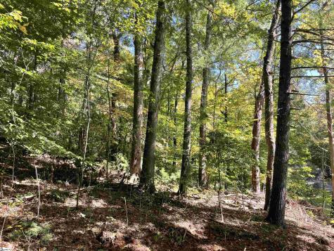 228 Tater Hill Mountain Road Pickens SC 29671