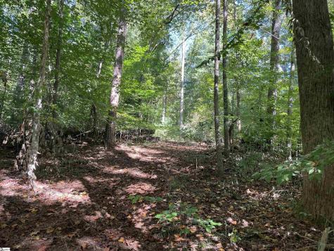 228 Tater Hill Mountain Road Pickens SC 29671